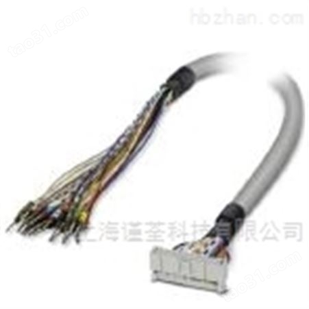 菲尼克斯CABLE-FCN40/1X50/2.0M/IP/MEL电缆