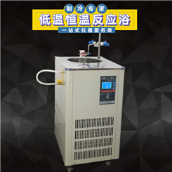 低温恒温搅拌反应浴 DFY-5/30低温反应浴槽 厂家直供