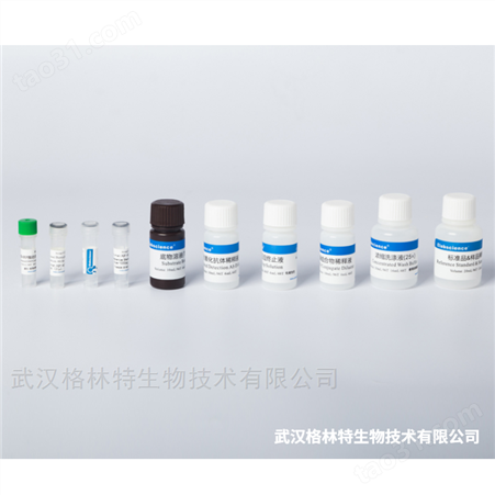 口蹄疫病毒 A 型（FMDV-A）核酸检测试剂盒（RT-PCR 荧光探针法）