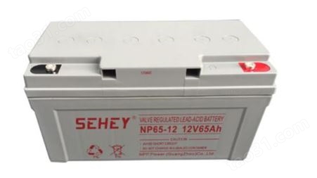 SEHEY西力蓄电池NP12-250Ah/12V250后备电源