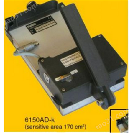 6150AD-K便携式表面污染测定仪（含探头）