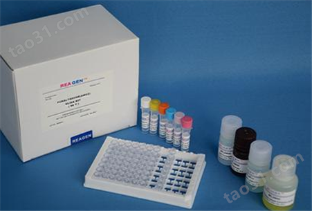 人白介素11（IL-11）Elisa试剂盒