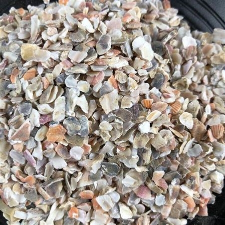 日进贝壳砂生产厂家 高钙饲料添加贝壳粉 涂料用煅烧贝壳粉 彩色贝壳砂