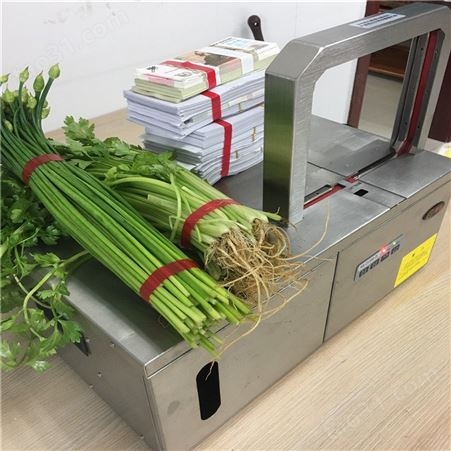 扎带捆菜机 无胶束带捆扎机 超市环保欧赔束带捆扎机