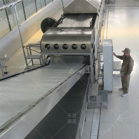 出售粉条生产线流程 芭蕉芋粉条生产线PLC控制 开封丽星