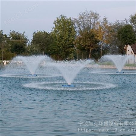 城市湖泊生态水系统增氧设备 水流动性改善设备 光伏扬水式景观喷泉曝气器