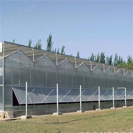 中农智造提供DX-1113型 沈阳温室通风控制器 辽宁沈阳大棚放风机 中农温室控制商家