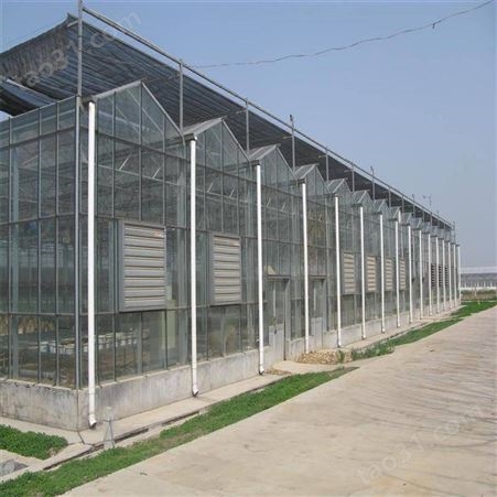 中农智造提供DX-1113型 沈阳温室通风控制器 辽宁沈阳大棚放风机 中农温室控制商家