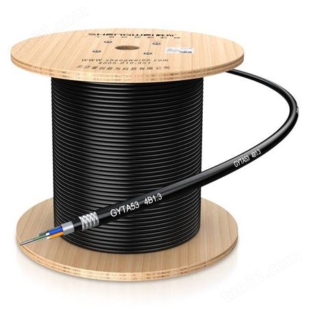 胜为BGTW006B 单模6芯架空/管道光缆光纤GYTA53光缆 层绞式光缆 室外光缆光纤