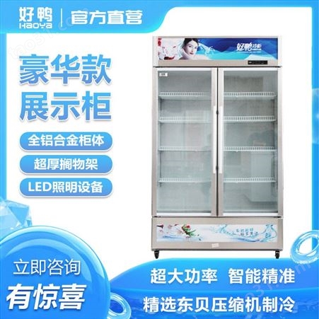 冷冻展示柜 好鸭冷冻展示柜直销 好鸭冷冻展示柜批发