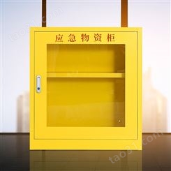 定制 应急物资存放柜 防疫物资柜钢制安全防护用品柜