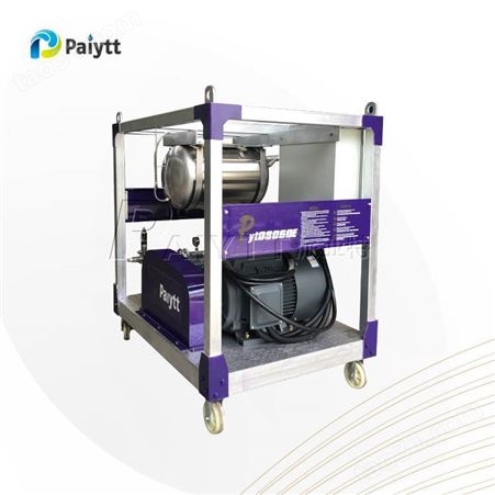 Paiytt 工业型高压清洗机 除漆除锈 AR/UDOR高压泵
