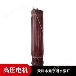 天津农用大排量锡青铜6KV高压潜水电机