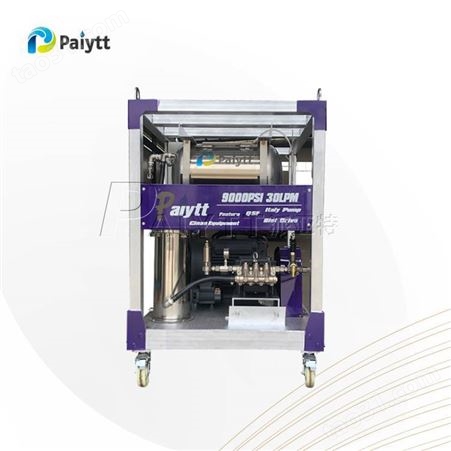 Paiytt 工业型高压清洗机 除漆除锈 AR/UDOR高压泵