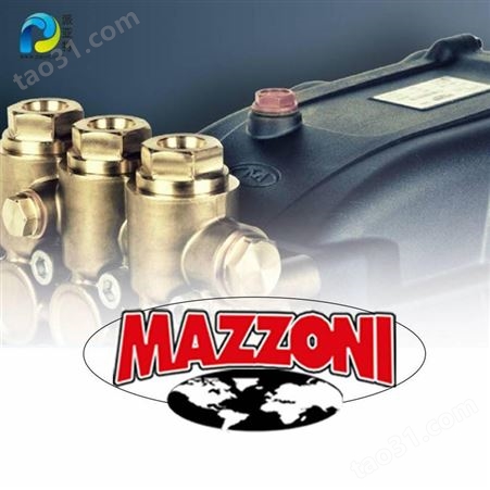 意大利进口 MAZZONI 化工清洗 电驱动清洗组 - KS400/450