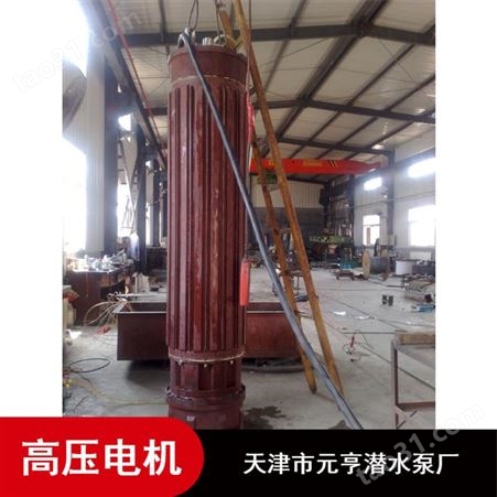 天津市井用大排量铸铁1140V高压潜水电机