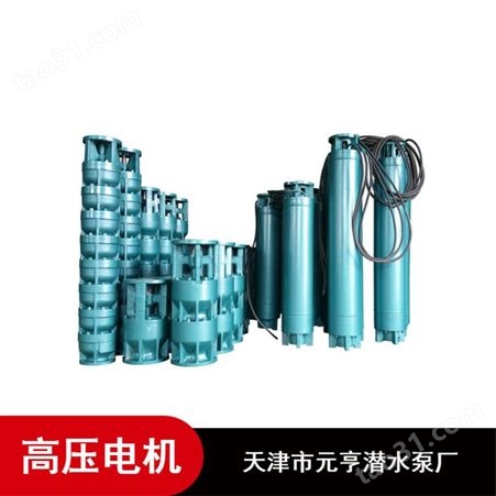 天津市灌溉用大排量不锈钢10KV高压潜水电机