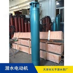 天津灌溉用卧式380V潜水电机