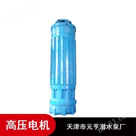 天津市提水用绝缘性铸铁6KV高压潜水电机
