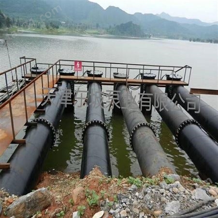 天津流量5000立方轴流泵-东坡潜水轴流泵