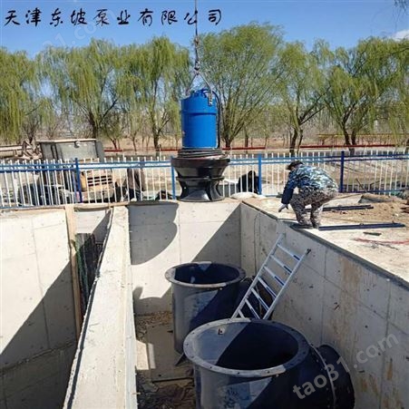 天津流量5000立方轴流泵-东坡潜水轴流泵