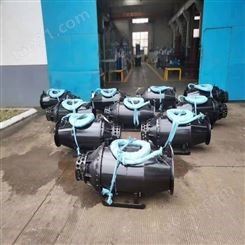 天津大流量排水潜水轴流泵 浮筒式轴流泵