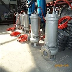 150WQ移动式潜水排污泵-立式管道排污泵