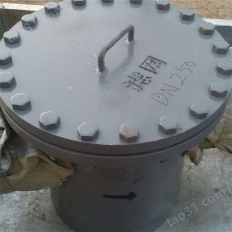 厂家供应电标给水泵进口滤网  碳钢T型过滤器 1.6Mpa过滤器质优价廉