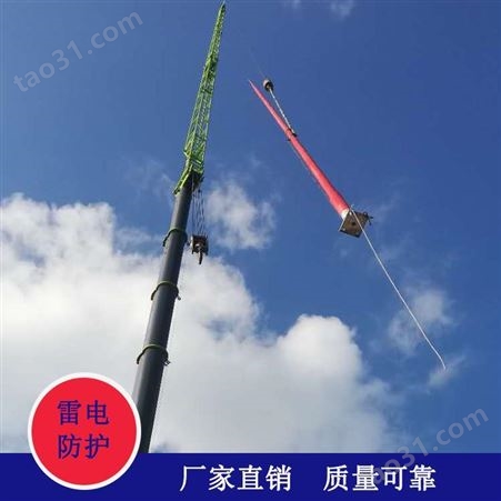 上海玻璃钢避雷针 天气雷达站玻璃钢避雷针伟信厂家定制