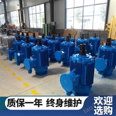 厂家生产销售螺杆泵直驱电机 螺杆泵直驱电机 阳光动力