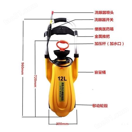 郑州洗眼器 BTF21复合式洗眼器 304不锈钢紧急冲淋洗眼器+脚踏板