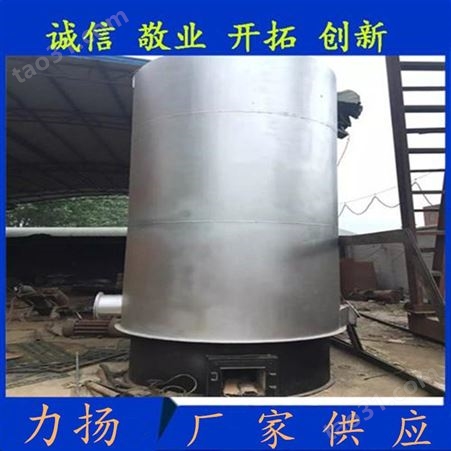 小型沼气锅炉 家用供热水设备 常压运行燃烧装置 高效节能