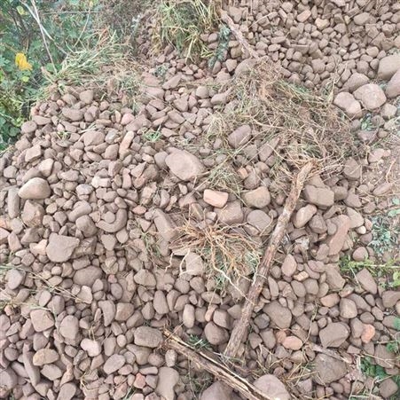 农田捡石机多少钱一台请咨询禹城亚泰土壤捡石头厂家ZP