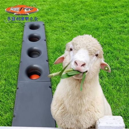 菲富利 羊用自动恒温饮水槽 严寒的冬天可以给羊一口热水