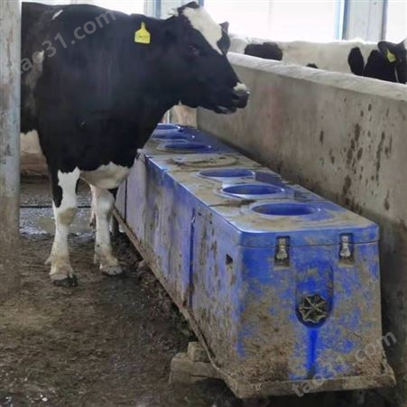菲富利 牛饮水槽 牛槽 奶牛喝水器 4米6孔油汀加热