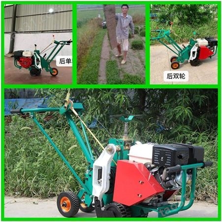 供应起草皮机 绿化草坪移植机 汽油铲草机