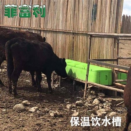菲富利 牛自动加热饮水槽 牛用恒温水槽 牧场牛场 冬季