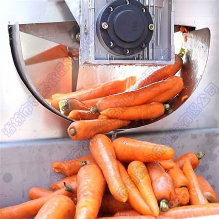 利杰LJ-8000 烘干机设备 食品烘干机 烘干机械 金银花烘干机 多层带式烘干设备 食品果蔬中药材多层带式烘干机
