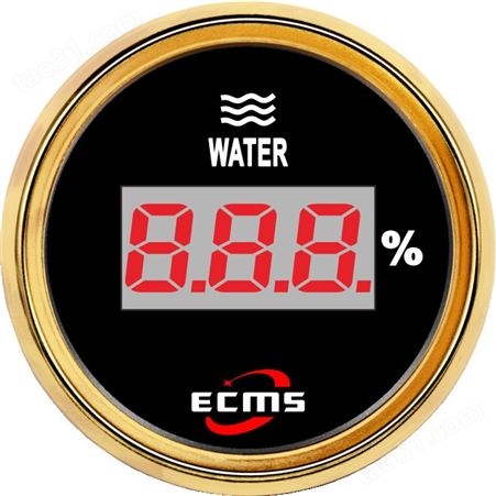 仪创 ECMS 800-00215 现货水位数显表 仪器仪表
