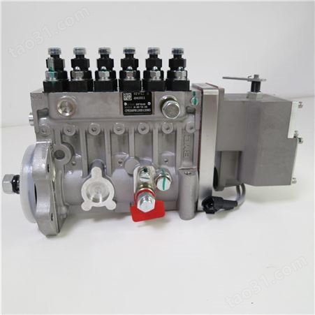 机械发动机燃油泵6CT 163KW 燃油发动机总成 高压油泵 东风康明斯