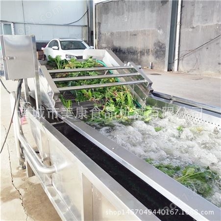 商用生菜清洗机 气泡式生菜清洗设备 多功能蔬菜清洗机