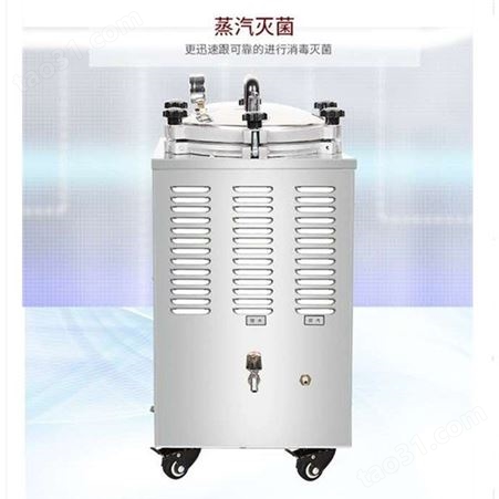 上海博迅手提式压力灭菌器 YXQ-LS-18SL