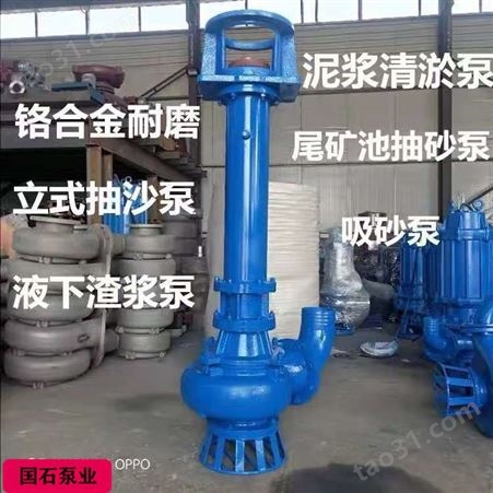 立式渣浆泵 40PV液下水泵厂家批发 国石泵业