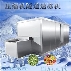 蔬菜饼隧道式速冻机 冻肉牛排速冻机 宏科供应加工定制速冻设备
