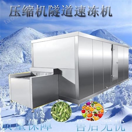 蔬菜饼隧道式速冻机 冻肉牛排速冻机 宏科供应加工定制速冻设备