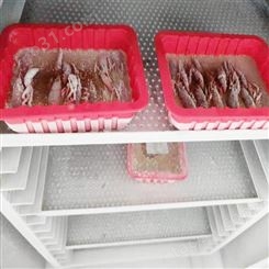 40*60 海参液氮速冻机 扇贝蛤蜊肉速冻柜 宏科机械低温速冻柜