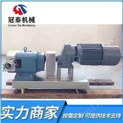 浙江厂家供应转子泵 电动卧式不锈钢小型转子泵 变频调速转子泵