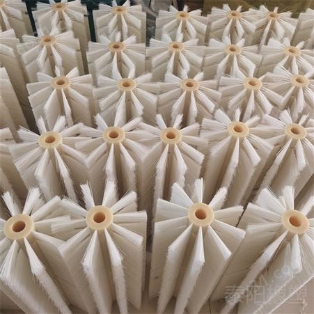泰阳橡塑生产加工尼龙毛刷辊 除尘毛刷 板刷 支持定制
