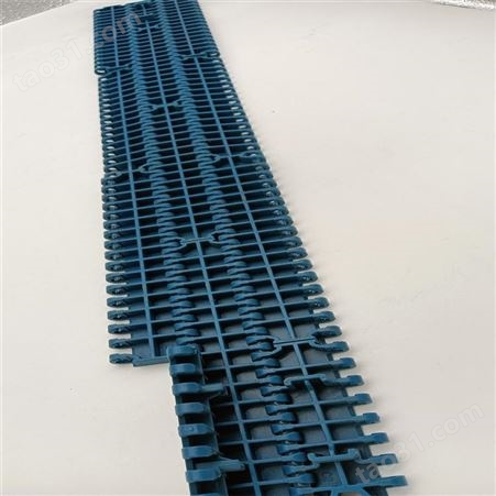泰阳橡塑定制pom输送链板 高分子链条导轨 链网 河北实力厂家