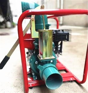 汽油抽水泵 大流量抽水泵 高扬程抽水机 小型农田灌溉自吸泵